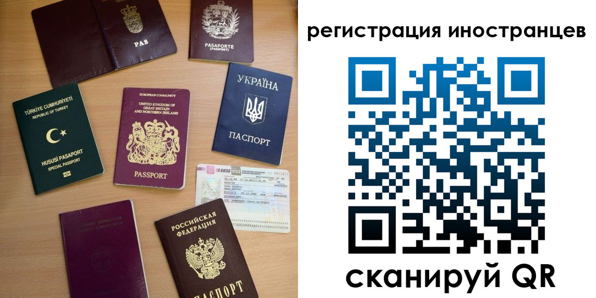 прописка регистрация в Сольцах